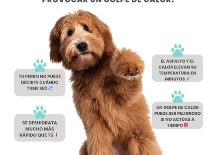 PeludosClub™ - Botella Portátil Para Perros