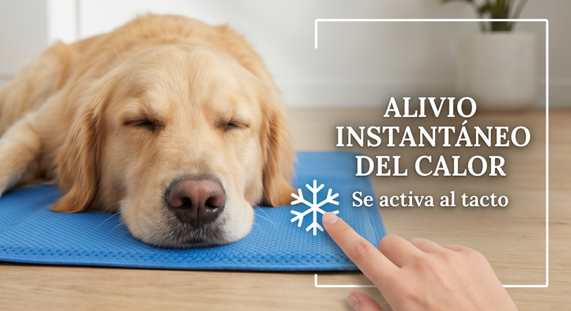 Alfombra refrescante PeludosClub