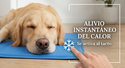 Alfombra refrescante PeludosClub